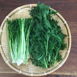 常備菜にもってこいな“青菜のだしびたし”