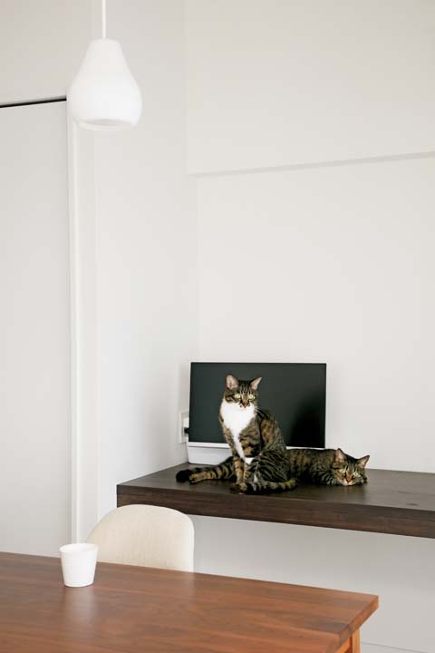 猫たちの食事スペース