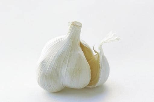 ニンニク