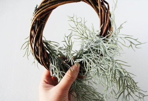 スパニッシュモス