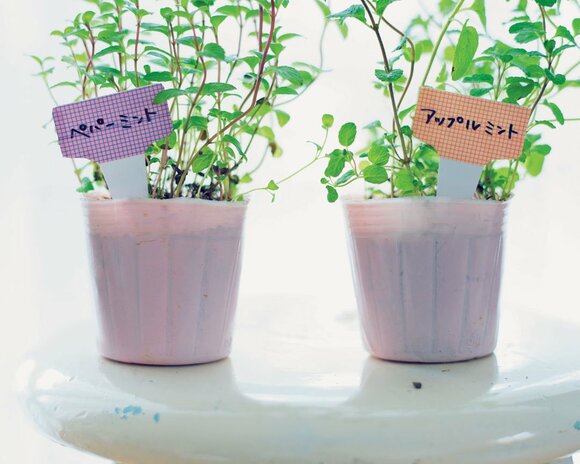 プランタープレートをかわいく色分け