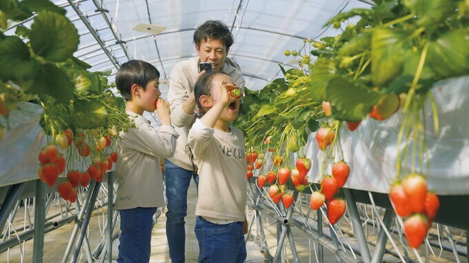 農業を始める人も応援