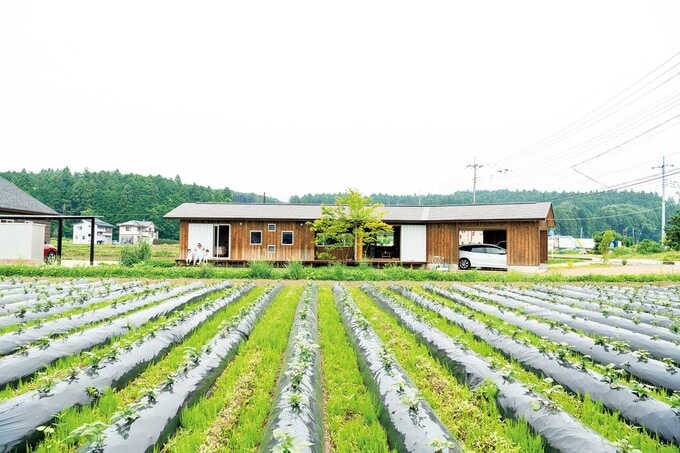 田んぼと家