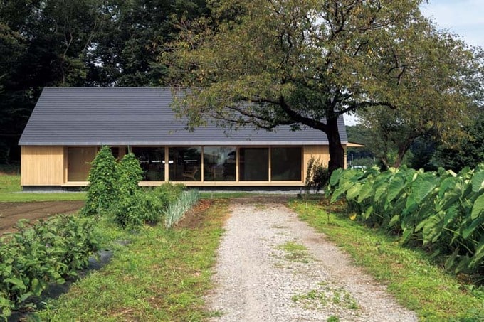 自然豊かなアプローチ