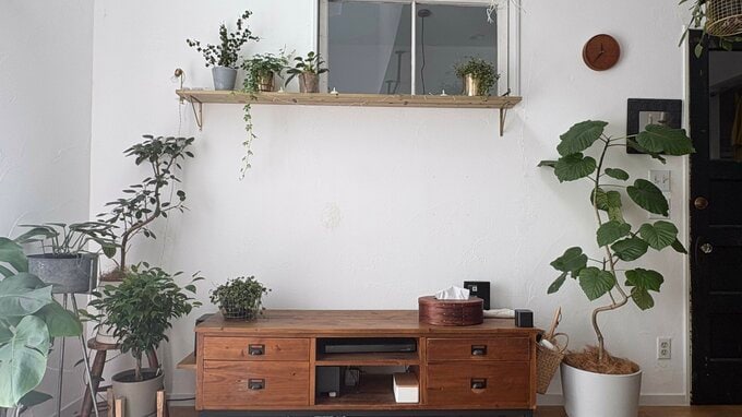 観葉植物のあるリビング