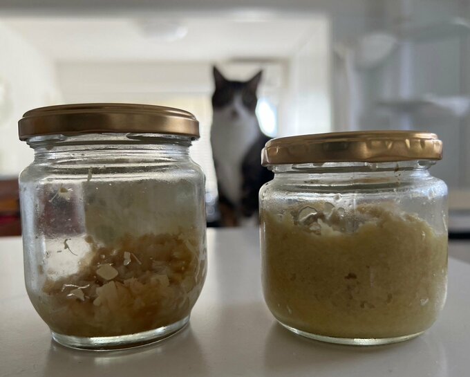 自家製発酵ショウガ