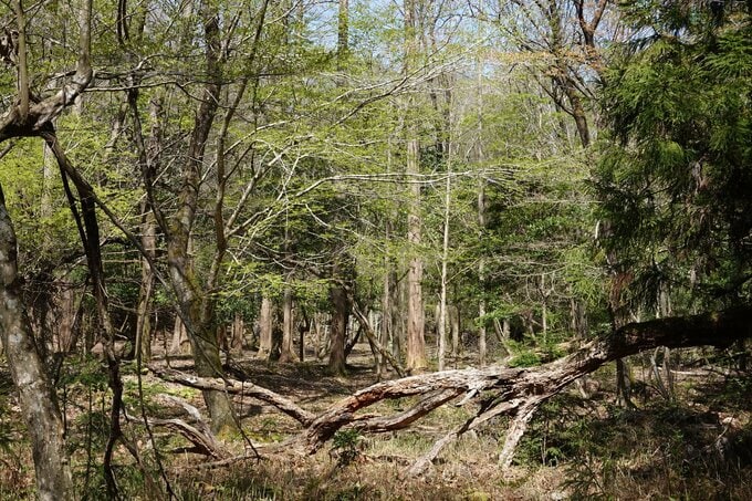 『ペンディングトレイン』第5話の見どころ