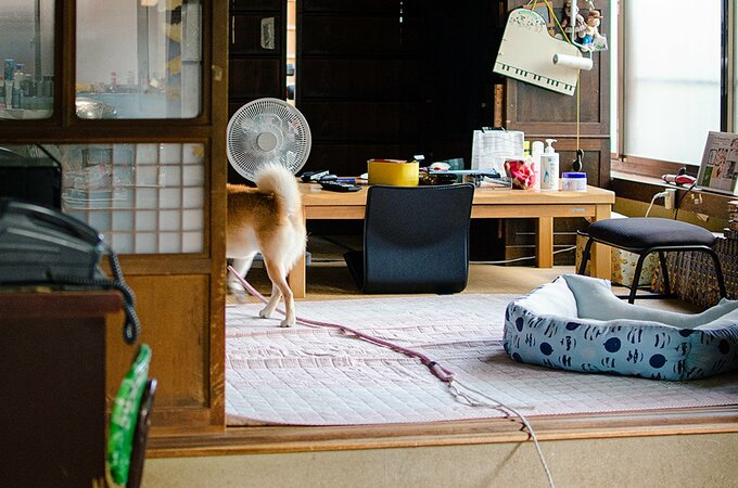 ずっと妹のうしろにくっついて