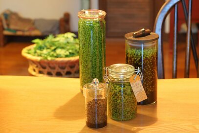 「山椒のしょうゆ漬けとオイル漬け」レシピ。手間なく仕込めて、いつもの料理を格上げ