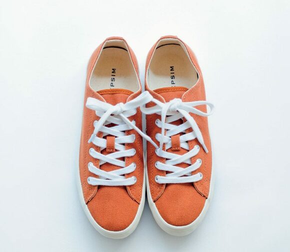 レプシムシューズ