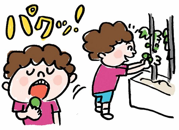 イラストトマトをパクッ