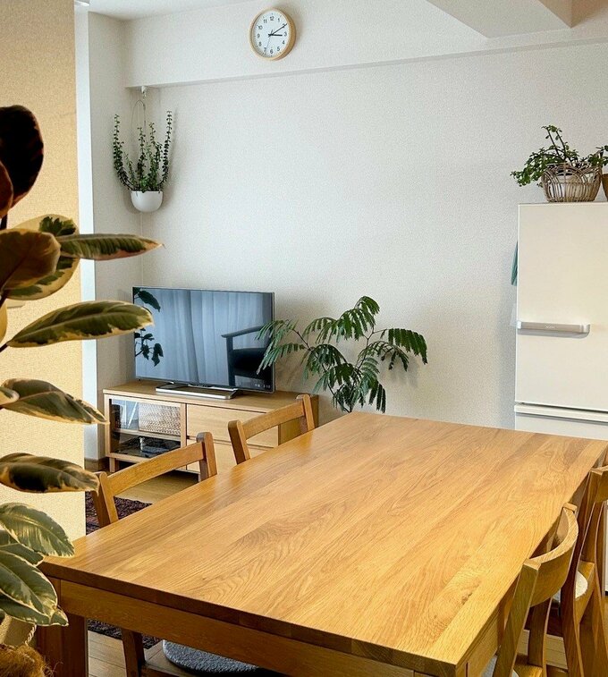 宮入さんが飾っているグリーン