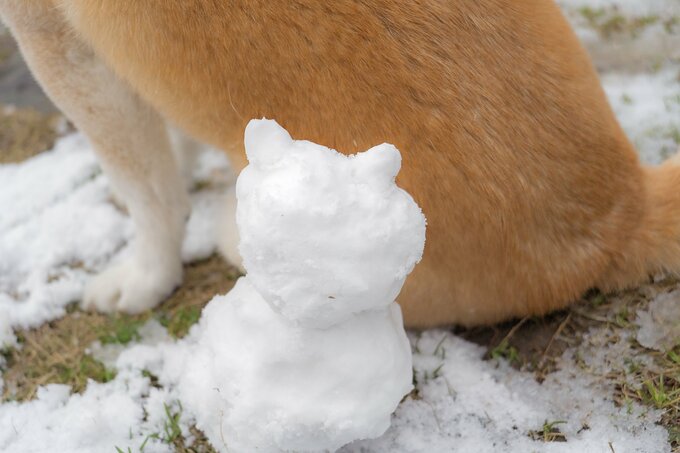 犬の雪だるま