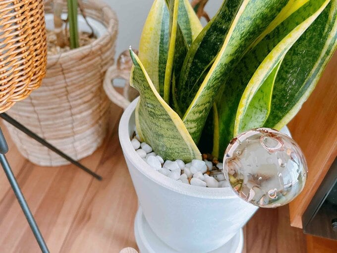 ・ウォーターディスペンサー　\330