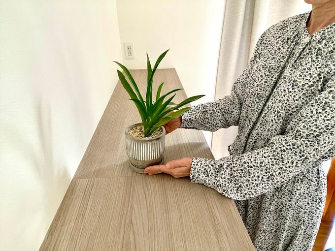 植物を棚の天板に置く女性