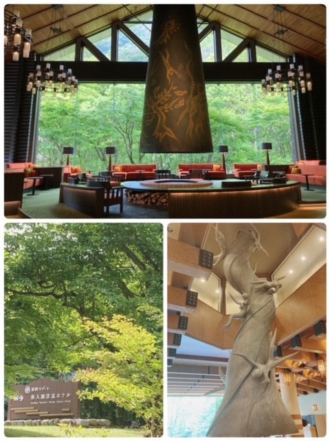 奥入瀬内装、外装