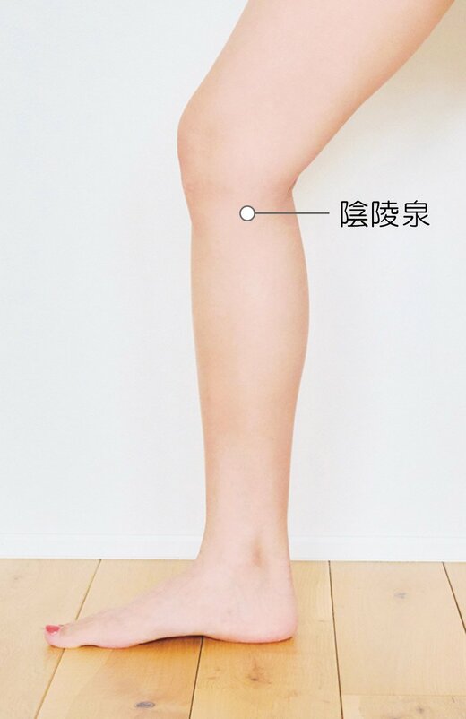 陰陵泉のツボ