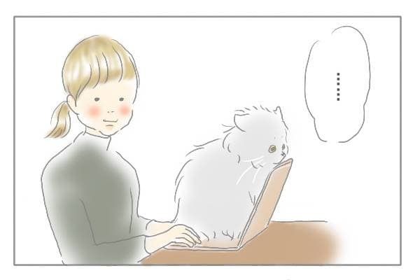 パソコンに上にネコとそれを見る女性