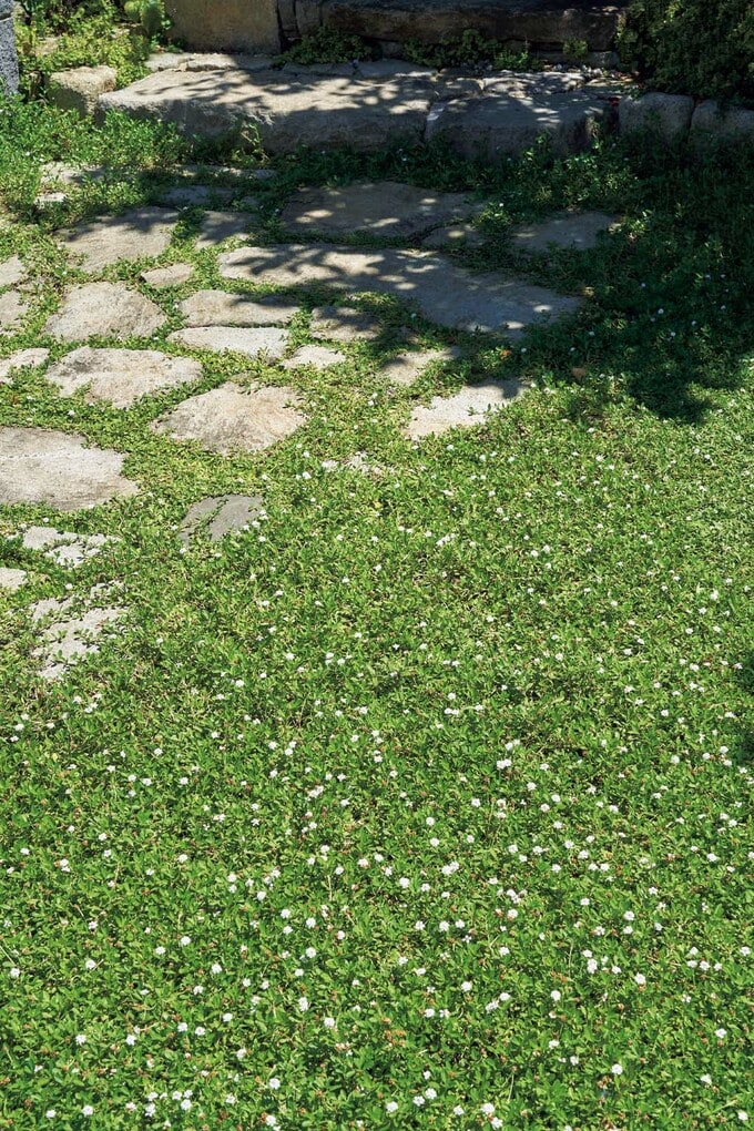 自然を感じさせるアプローチ