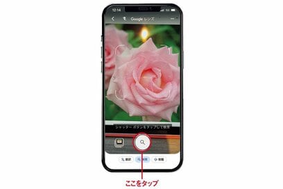 今さら聞きにくい「スマホでの調べ物」。花の名前はGoogleの写真検索でわかる