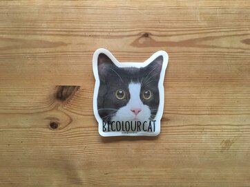 猫の形の保冷剤、ウォーターボトル…etc 100円ショップのおしゃれアイテム