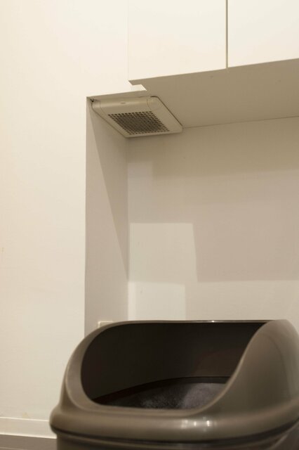 仕事から帰ったら「猫が居た」!? 気ままなロシアンブルーと暮らす家