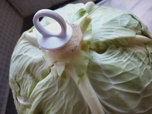 キャベツの芯の部分にフレッシュキーパー