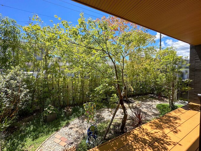 ブロック塀と常緑樹の庭