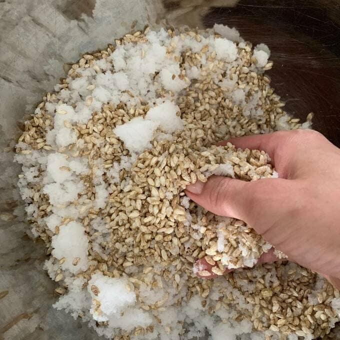 玄米生麹と塩はボウルに入れ、手でよく混ぜあわせておきます