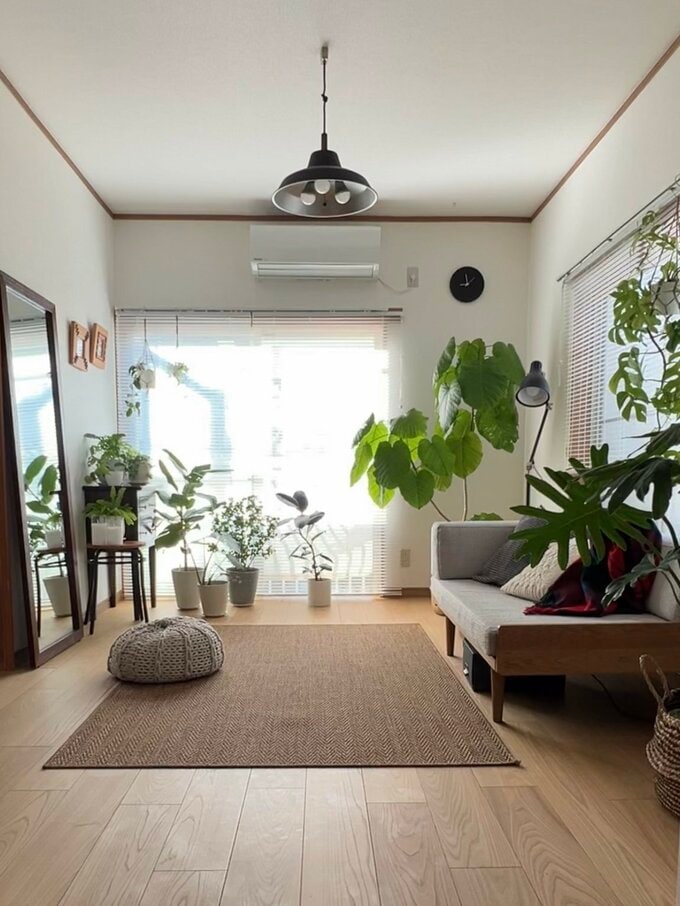 ようさんの観葉植物