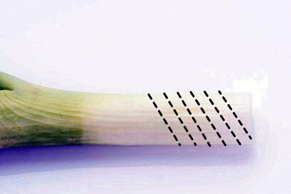 長ネギを最速でみじん切りにする方法！中華のプロも実践するワザとは？