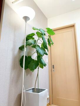 「壁紙シール」をアクセントクロスに。ボロボロの壁紙の上に貼って30分で完成