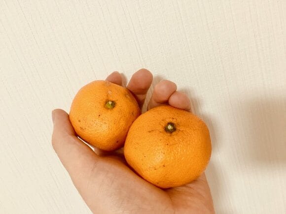 みかんの白い筋