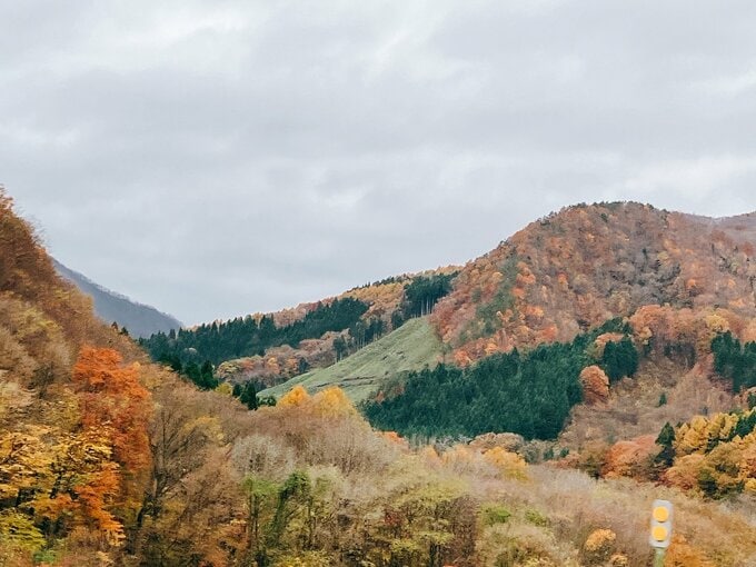 写真：紅葉2