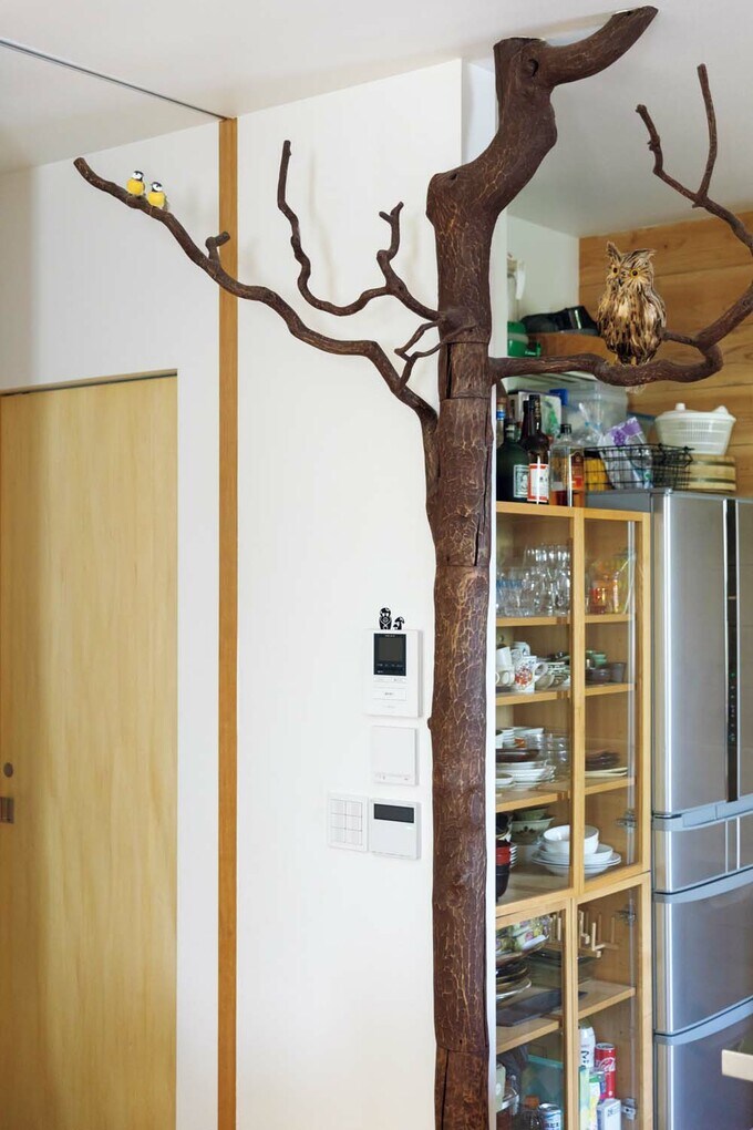 シナモンの古木をインテリアに