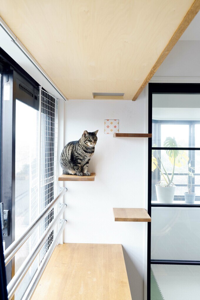 上部に開いた穴