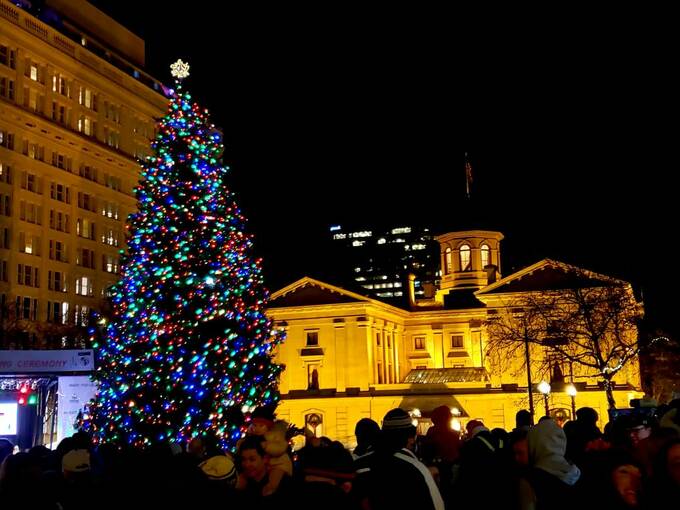 クリスマスツリーと夜景