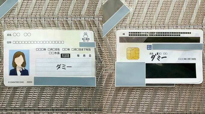 左：表面、右：裏面