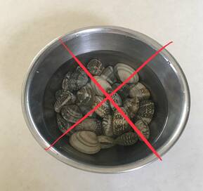 効率的なアサリの砂抜き。水を多く入れすぎないで