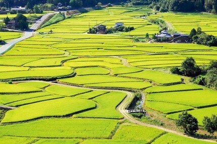 農地のイメージ画像