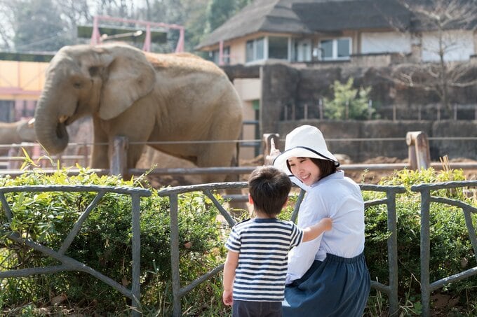 動物園にいる親子