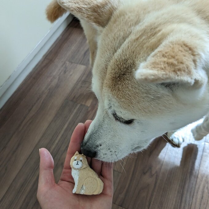 ブローチには(なぜか)興味しんしん