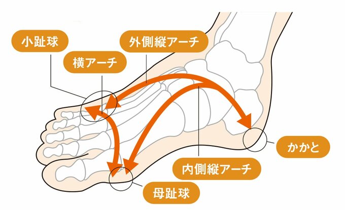 足のアーチ図