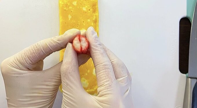 カニカマの平らな部分同士を重ねる