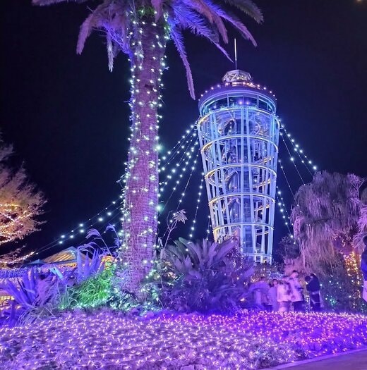 イルミネーション