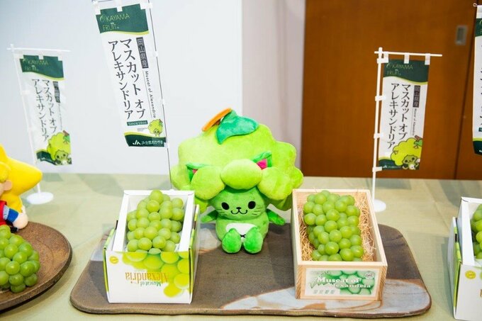 最高価格は1房10万円