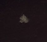 ゴム手袋でこする