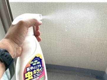 夏に増える「害虫」被害を防ぐ5つのポイント。もっとも大切なのは侵入経路を遮断すること