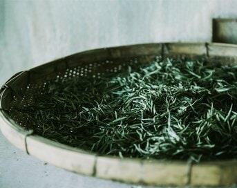 忙しい毎日の“休息”新習慣に。香りも華やぐ「微発酵」緑茶でリラックス