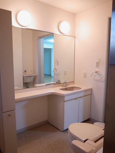 リノベ前のサニタリー